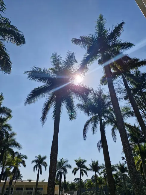 Foto 7 de Chácara com 4 quartos à venda e para alugar, 5000m2 em Alto Da Serra (Mailasqui), Sao Roque - SP