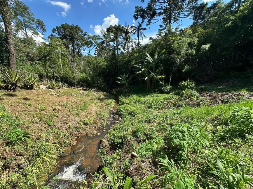 Chácara com 4 quartos à venda, 34000m2 em Alto Da Serra (Mailasqui), Sao Roque - SP - imagem 7 Foto 7 de Chácara com 4 quartos à venda, 34000m2 em Alto Da Serra (Mailasqui), Sao Roque - SP