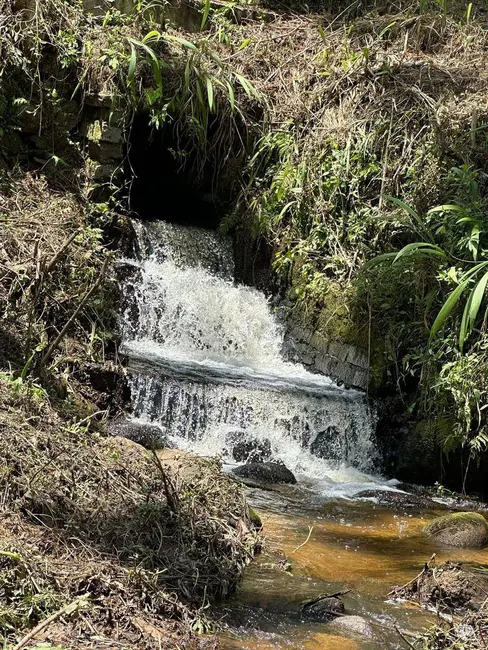 Chácara com 4 quartos à venda, 34000m2 em Alto Da Serra (Mailasqui), Sao Roque - SP - imagem 5 Foto 5 de Chácara com 4 quartos à venda, 34000m2 em Alto Da Serra (Mailasqui), Sao Roque - SP