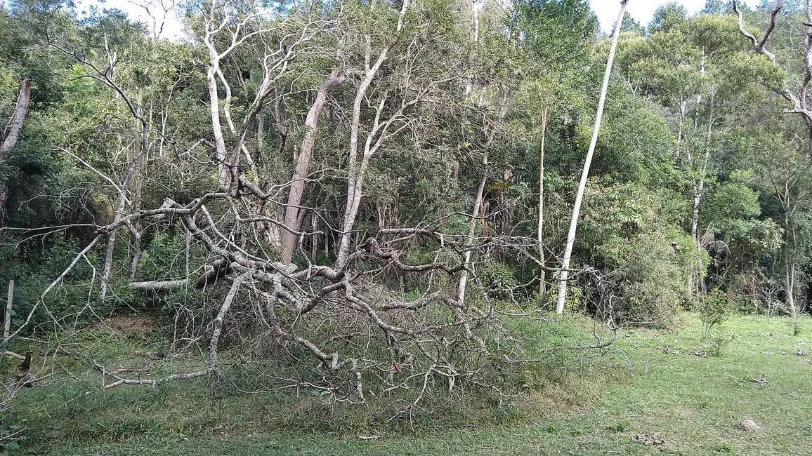 Chácara com 2 quartos à venda, 37000m2 em Sao Roque - SP - imagem 8 Foto 8 de Chácara com 2 quartos à venda, 37000m2 em Sao Roque - SP