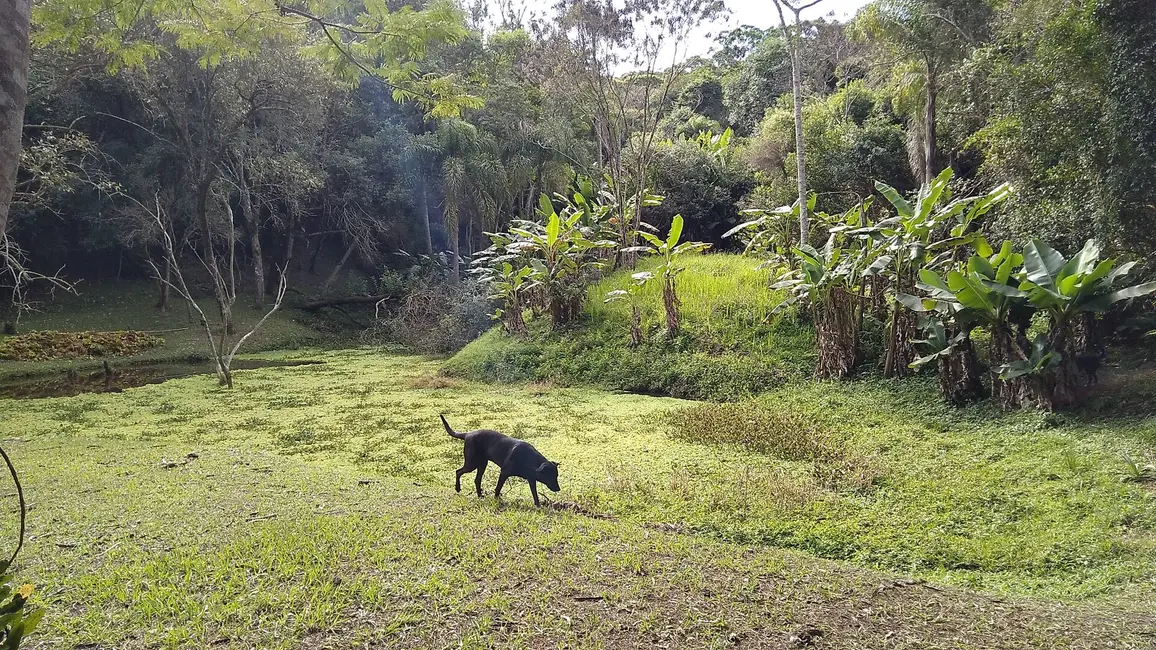 Chácara com 2 quartos à venda, 37000m2 em Sao Roque - SP - imagem 7 Foto 7 de Chácara com 2 quartos à venda, 37000m2 em Sao Roque - SP