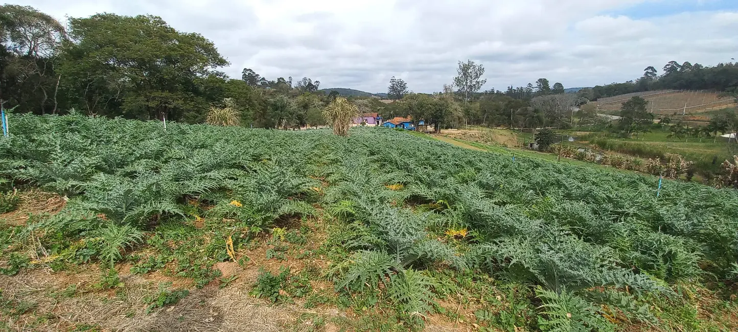 Foto 1 de Terreno / Lote à venda, 1000m2 em Sorocamirim (Canguera), Sao Roque - SP