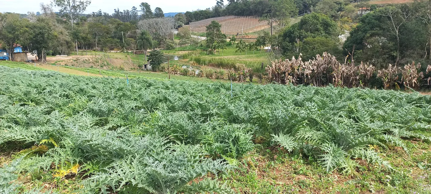 Foto 4 de Terreno / Lote à venda, 1000m2 em Sorocamirim (Canguera), Sao Roque - SP