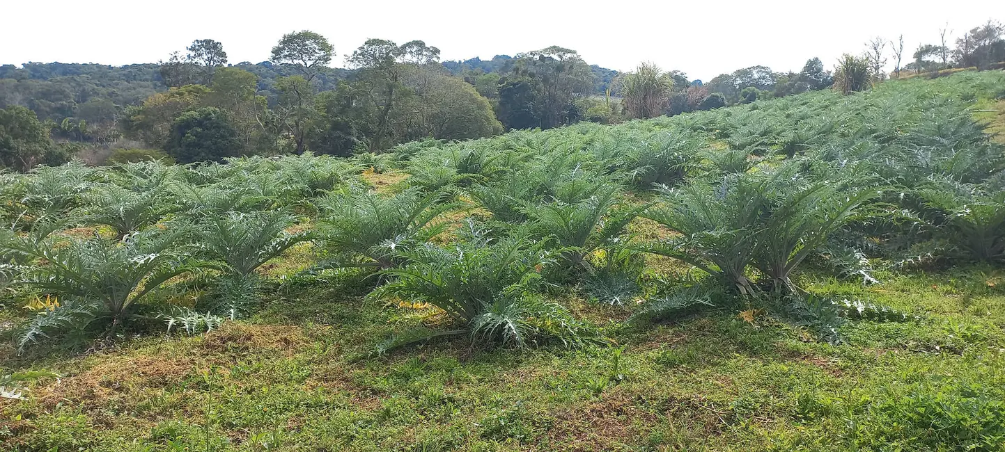 Foto 2 de Terreno / Lote à venda, 1000m2 em Sorocamirim (Canguera), Sao Roque - SP