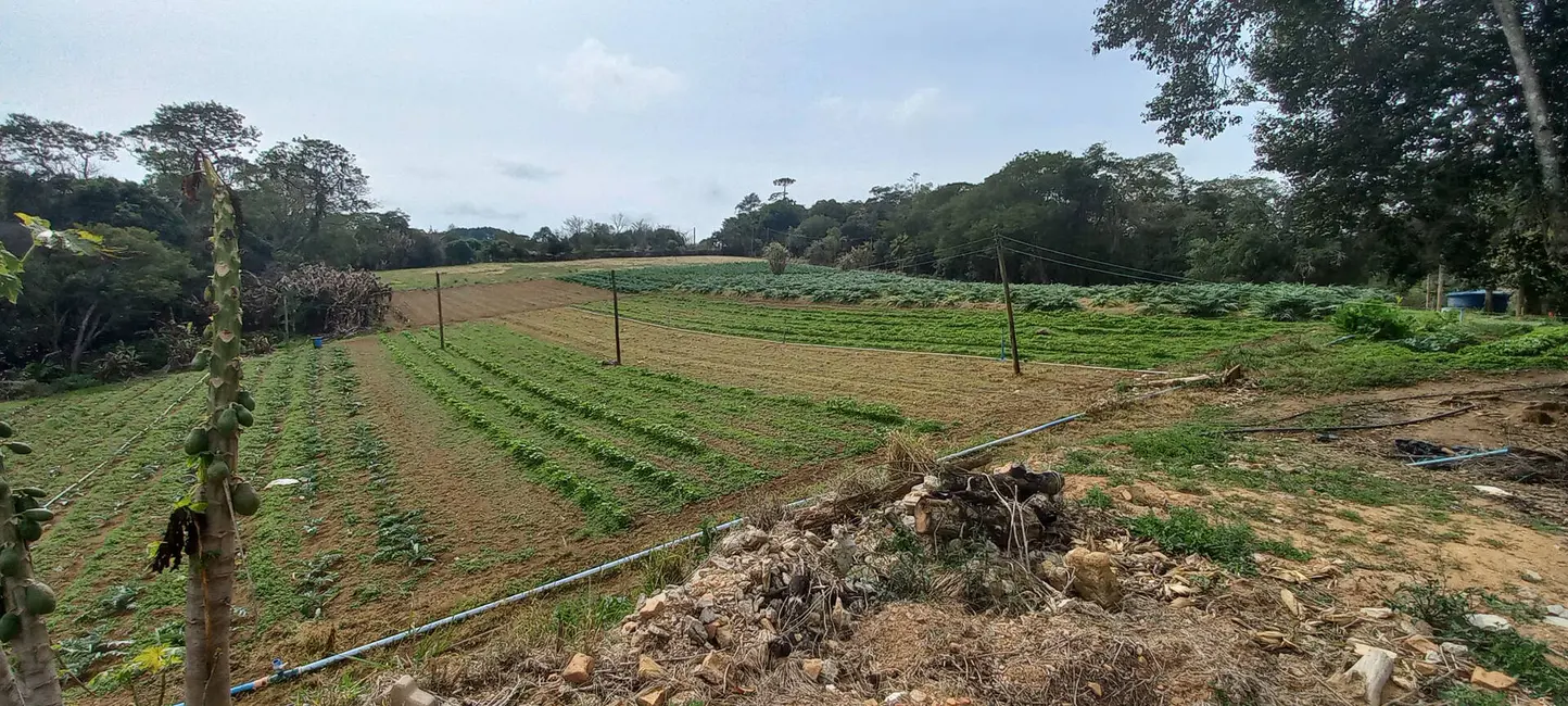 Foto 6 de Terreno / Lote à venda, 1000m2 em Sorocamirim (Canguera), Sao Roque - SP