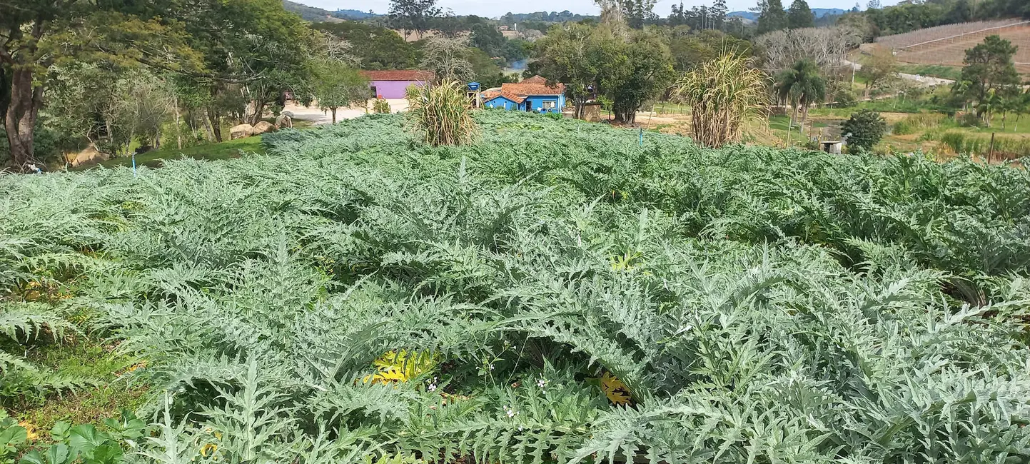 Foto 3 de Terreno / Lote à venda, 1000m2 em Sorocamirim (Canguera), Sao Roque - SP