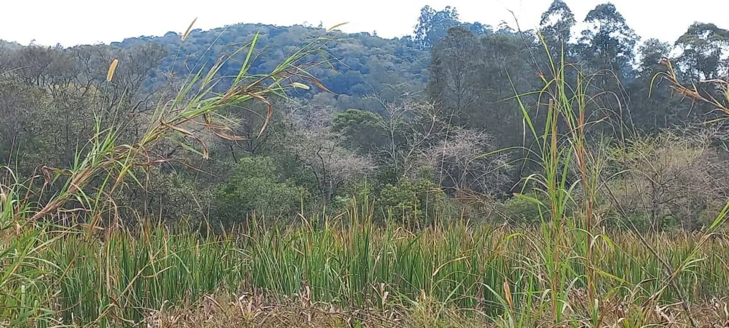 Foto 8 de Sala Comercial à venda e para alugar, 460000m2 em Sao Roque - SP