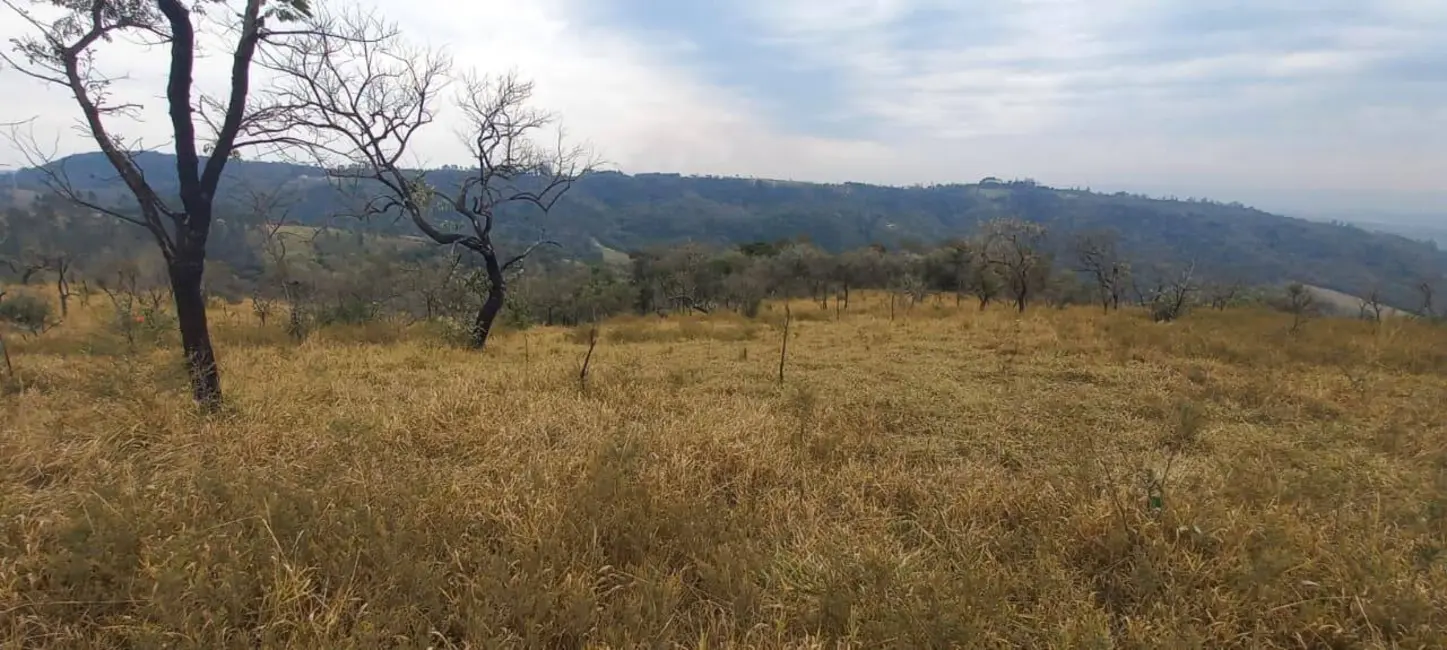 Foto 7 de Sala Comercial à venda e para alugar, 460000m2 em Sao Roque - SP