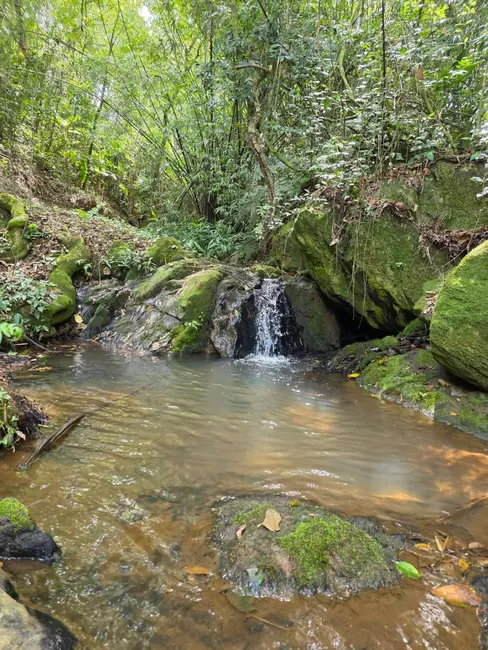 Foto 2 de Chácara com 4 quartos à venda e para alugar, 96000m2 em Jardim Guaçu, Sao Roque - SP
