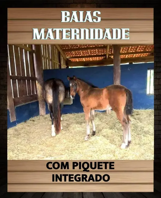 Foto 8 de Fazenda / Haras à venda, 165000m2 em Jardim Guaçu, Sao Roque - SP