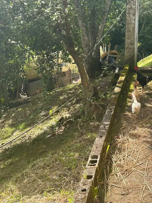 Foto 9 de Chácara com 2 quartos à venda, 2500m2 em Piedade - SP