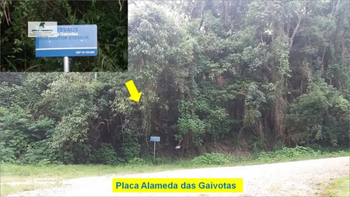 Foto 3 de Terreno / Lote à venda, 5700m2 em Sao Roque - SP