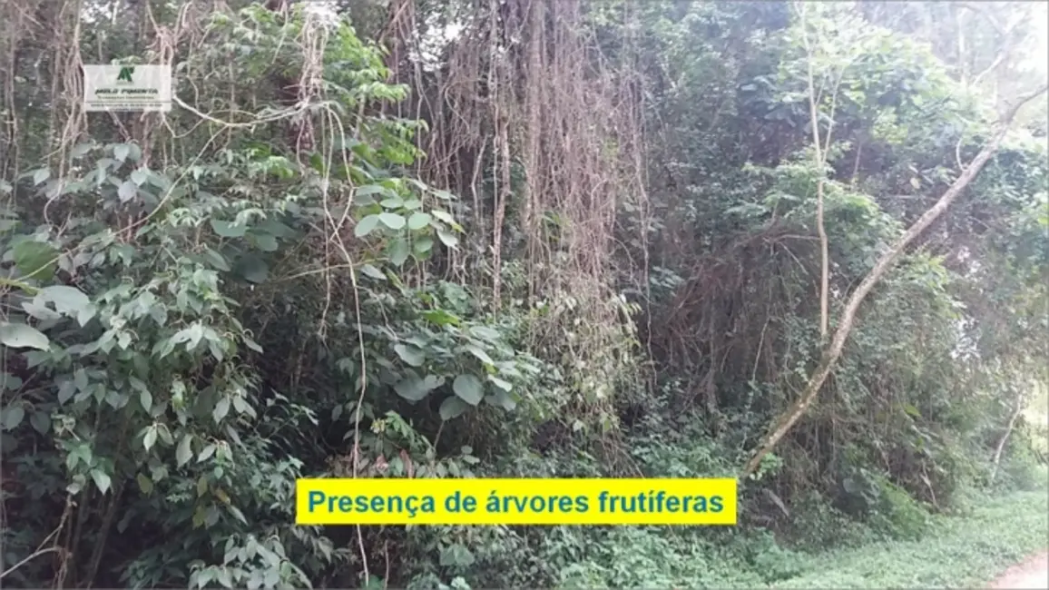 Foto 9 de Terreno / Lote à venda, 5700m2 em Sao Roque - SP