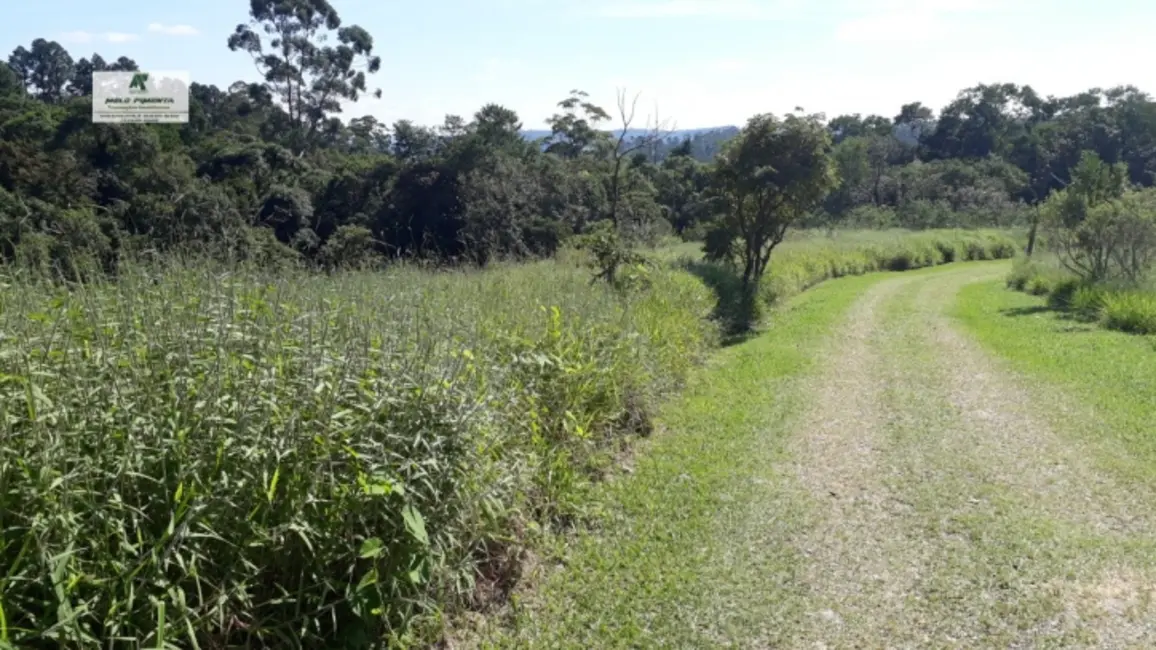 Chácara à venda, 19000m2 em Sao Roque - SP - imagem 4 Foto 4 de Chácara à venda, 19000m2 em Sao Roque - SP