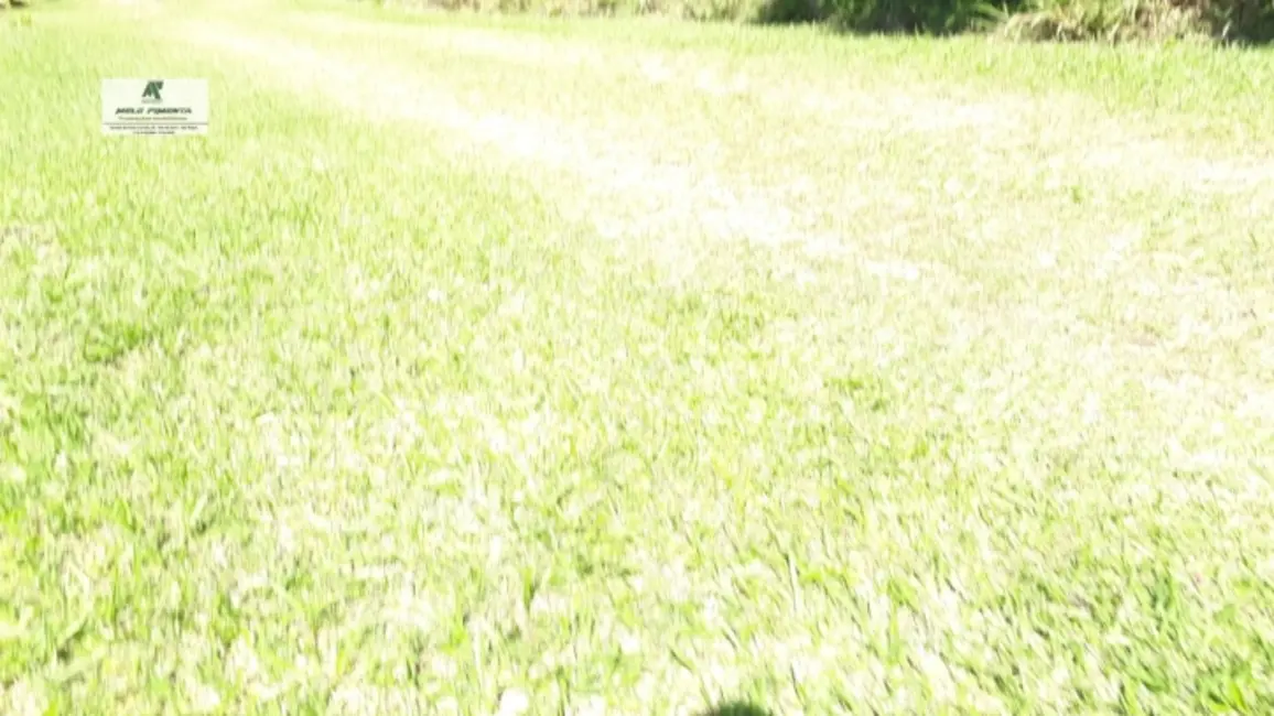 Chácara à venda, 19000m2 em Sao Roque - SP - imagem 5 Foto 5 de Chácara à venda, 19000m2 em Sao Roque - SP