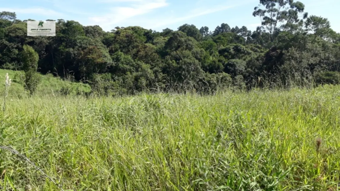 Chácara à venda, 19000m2 em Sao Roque - SP - imagem 3 Foto 3 de Chácara à venda, 19000m2 em Sao Roque - SP