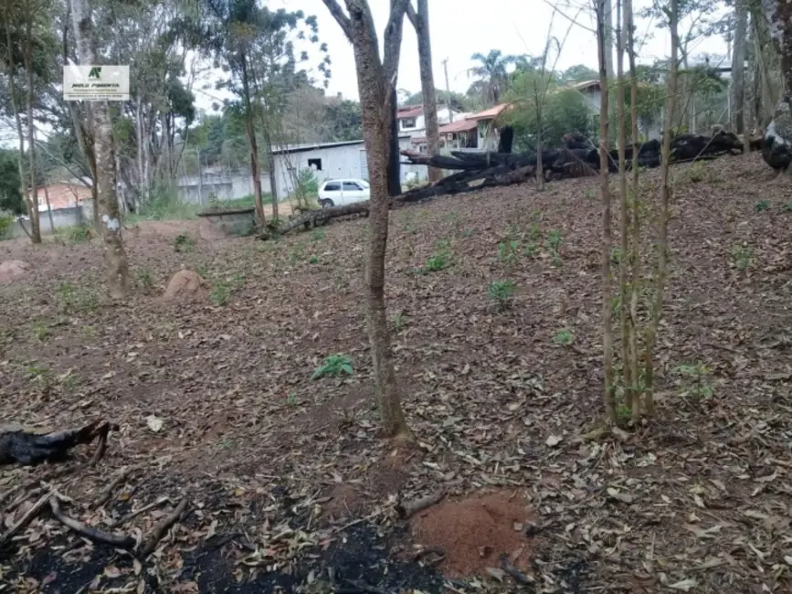 Foto 2 de Sala Comercial à venda, 1314m2 em Jardim Japão (Caucaia do Alto), Cotia - SP