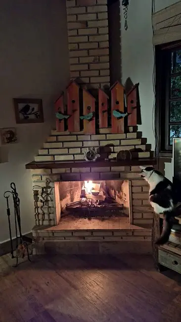 Foto 6 de Casa de Condomínio com 2 quartos à venda, 296m2 em Jardim Santa Paula, Cotia - SP