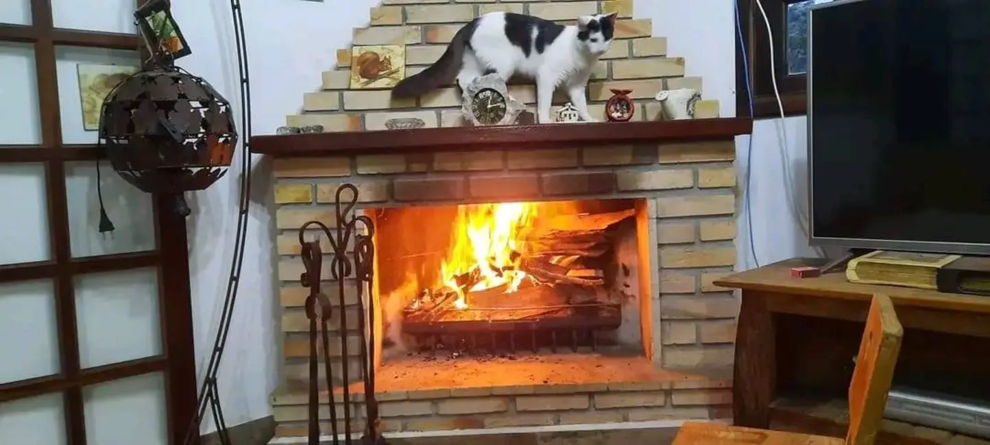 Foto 9 de Casa de Condomínio com 2 quartos à venda, 296m2 em Jardim Santa Paula, Cotia - SP