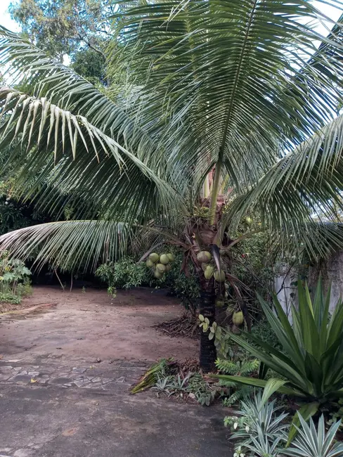 Foto 7 de Sítio / Rancho com 3 quartos à venda, 1000m2 em Subaé, Feira De Santana - BA