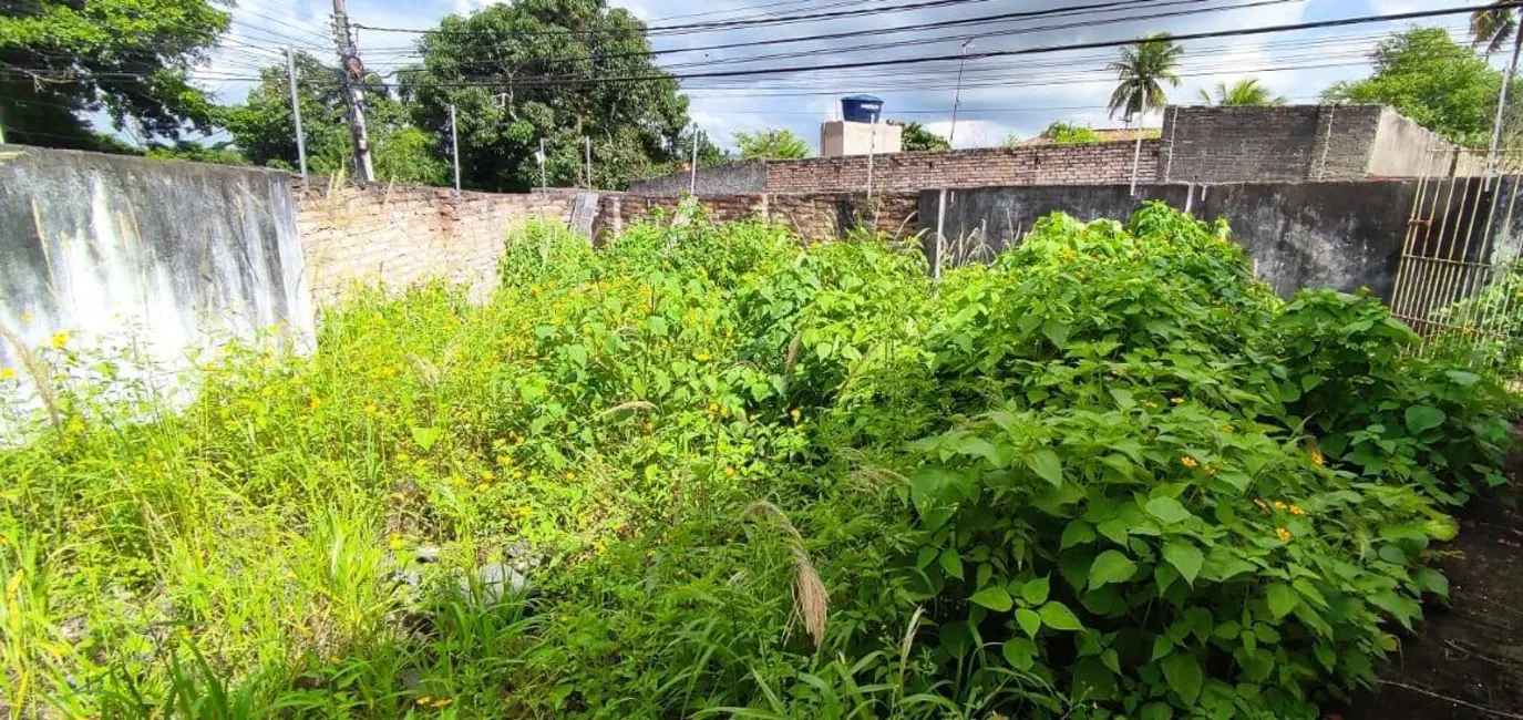 Casa com 3 quartos à venda, 523m2 em Muchila, Feira De Santana - BA - imagem 6 Foto 6 de Casa com 3 quartos à venda, 523m2 em Muchila, Feira De Santana - BA