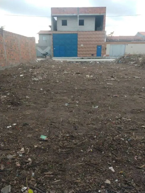 Foto 4 de Terreno / Lote à venda, 195m2 em Papagaio, Feira De Santana - BA