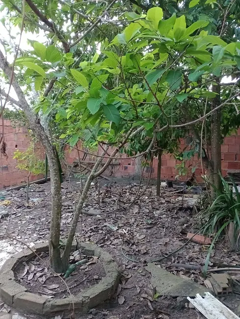 Foto 9 de Casa com 2 quartos à venda, 200m2 em Subaé, Feira De Santana - BA