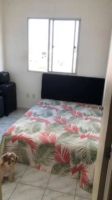 Foto 5 de Apartamento com 3 quartos para alugar em Mangabeira, Feira De Santana - BA