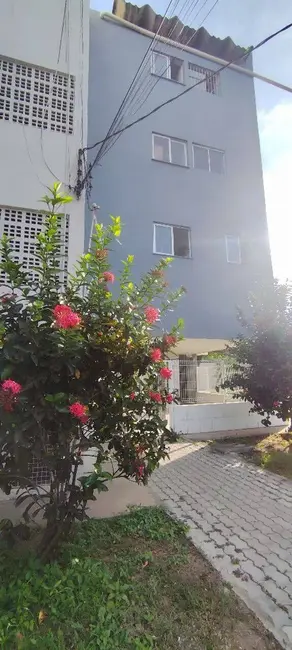 Apartamento com 4 quartos à venda, 85m2 em São João, Feira De Santana - BA - imagem 6 Foto 6 de Apartamento com 4 quartos à venda, 85m2 em São João, Feira De Santana - BA