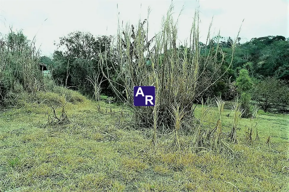 Foto 4 de Terreno / Lote à venda, 4840m2 em Jardim Ísis, Cotia - SP