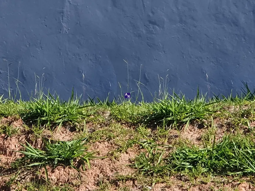 Foto 7 de Terreno / Lote à venda, 303m2 em Chácara Roselândia, Cotia - SP