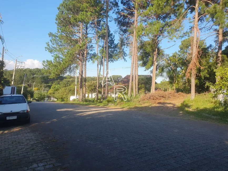 Foto 8 de Terreno / Lote à venda, 586m2 em Gramado, Cotia - SP