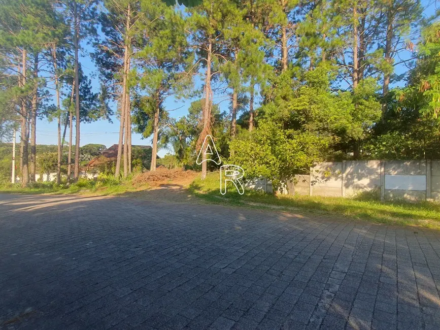 Foto 7 de Terreno / Lote à venda, 586m2 em Gramado, Cotia - SP