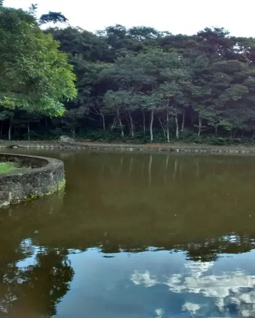 Foto 7 de Terreno / Lote à venda, 348982m2 em Itapetinga, Atibaia - SP