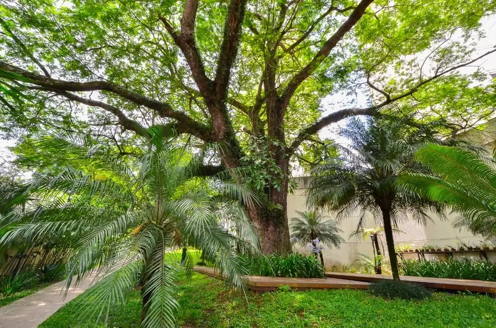 Apartamento com 4 quartos à venda, 210m2 em Vila Sofia, São Paulo - SP - imagem 6 Foto 6 de Apartamento com 4 quartos à venda, 210m2 em Vila Sofia, São Paulo - SP
