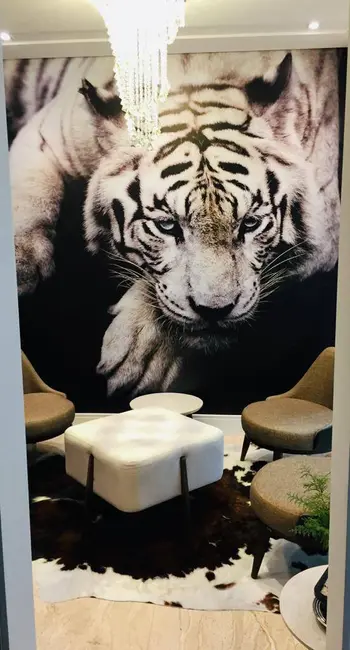 Foto 6 de Apartamento com 3 quartos à venda, 84m2 em Jardim Ana Maria, Jundiai - SP