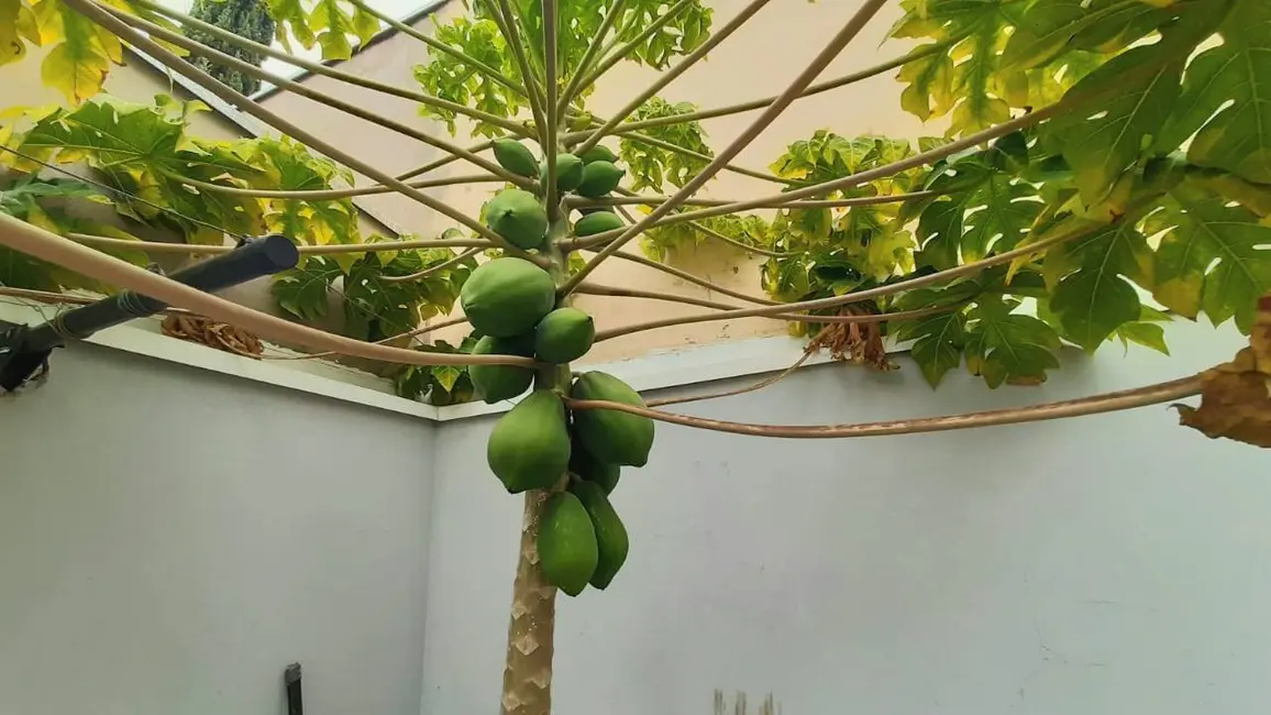 Foto 8 de Casa de Condomínio com 3 quartos à venda, 329m2 em Itupeva - SP