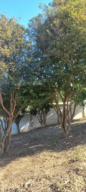 Foto 3 de Chácara com 3 quartos à venda, 4170m2 em Jarinu - SP