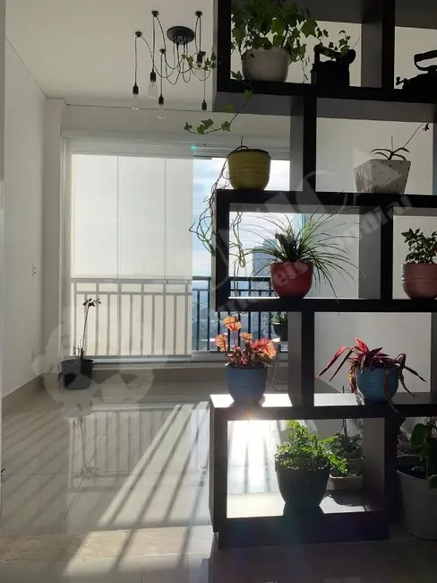 Apartamento com 3 quartos à venda e para alugar, 84m2 em Jardim Ana Maria, Jundiai - SP - imagem 4 Foto 4 de Apartamento com 3 quartos à venda e para alugar, 84m2 em Jardim Ana Maria, Jundiai - SP