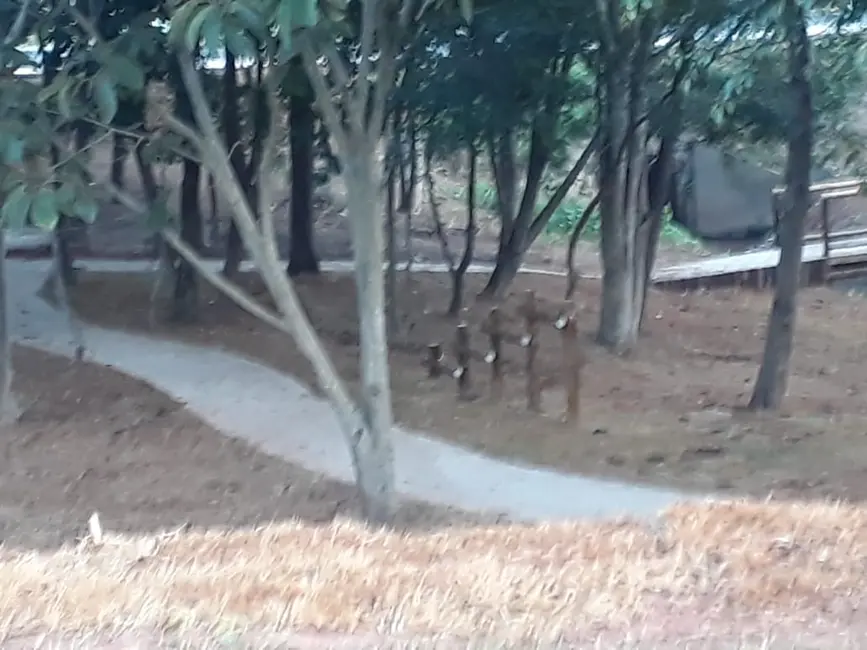 Foto 5 de Terreno / Lote à venda, 180m2 em Parque Residencial Jundiaí II, Jundiai - SP