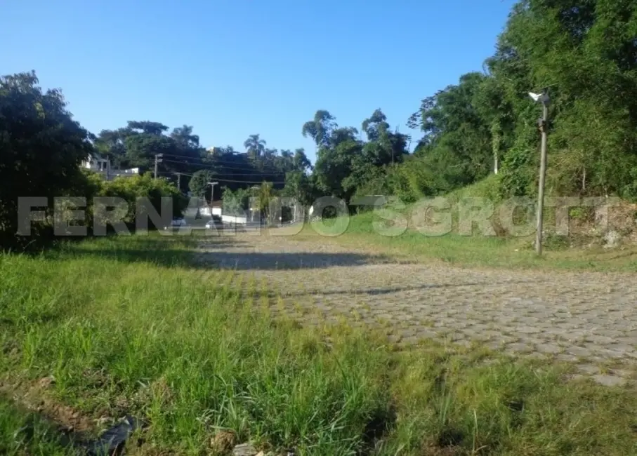 Foto 6 de Terreno / Lote à venda, 62996m2 em Porto Belo - SC