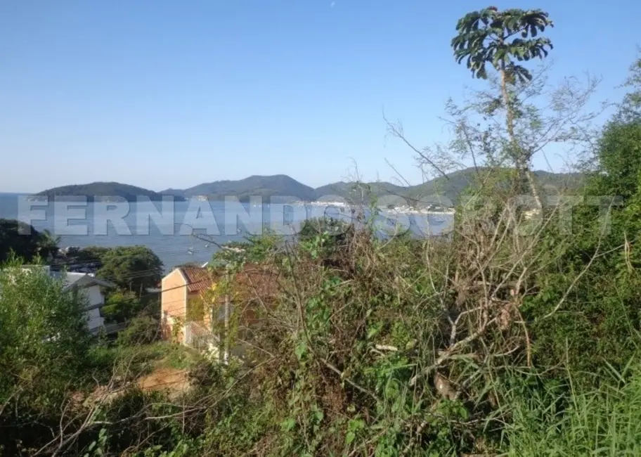Foto 7 de Terreno / Lote à venda, 62996m2 em Porto Belo - SC
