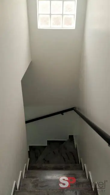 Foto 5 de Casa com 3 quartos à venda, 126m2 em Vila Albertina, São Paulo - SP