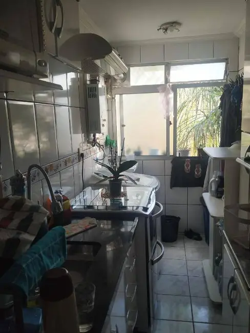 Apartamento com 3 quartos para alugar, 56m2 em Vila Bonilha Nova, São Paulo - SP - imagem 9 Foto 9 de Apartamento com 3 quartos para alugar, 56m2 em Vila Bonilha Nova, São Paulo - SP