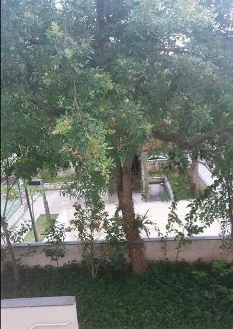 Foto 6 de Apartamento com 2 quartos à venda, 43m2 em Jaraguá, São Paulo - SP