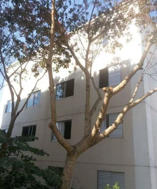 Foto 9 de Apartamento com 2 quartos à venda, 44m2 em Jaraguá, São Paulo - SP