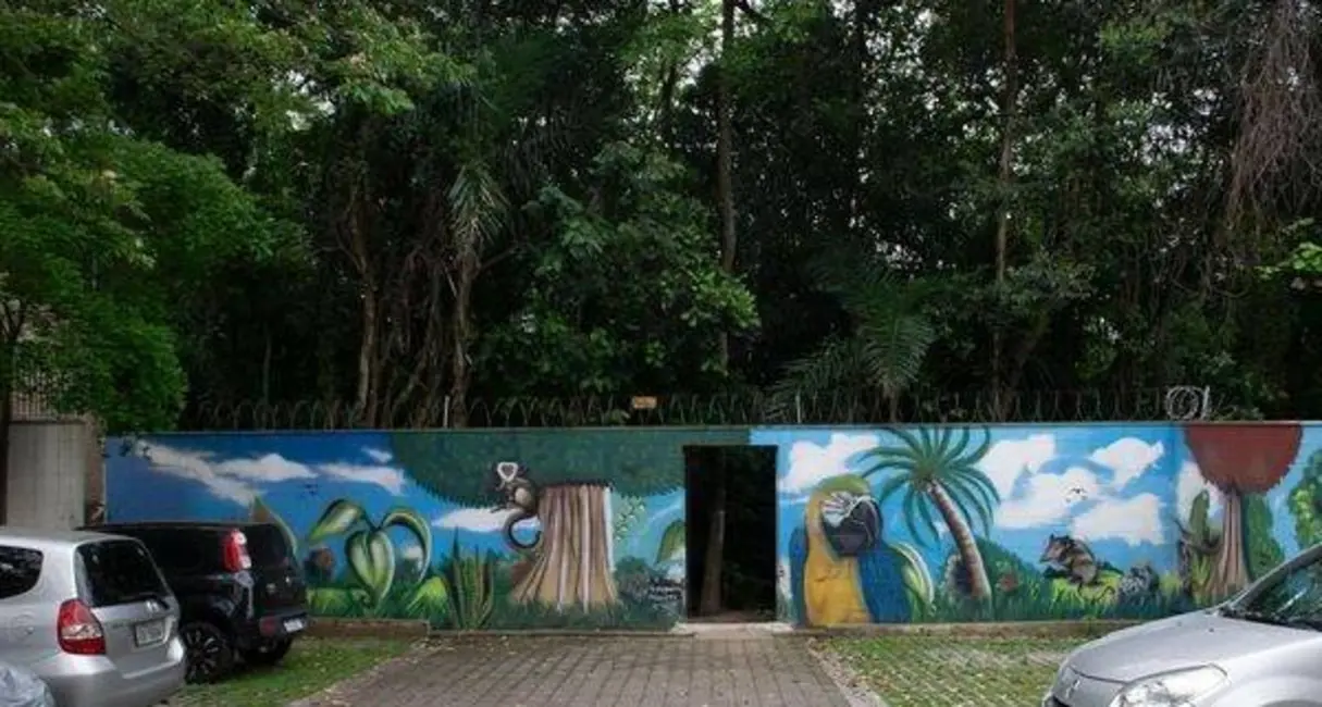 Apartamento com 2 quartos para alugar, 43m2 em Jaraguá, São Paulo - SP - imagem 3 Foto 3 de Apartamento com 2 quartos para alugar, 43m2 em Jaraguá, São Paulo - SP