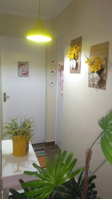 Apartamento com 3 quartos à venda, 53m2 em Vila Amélia, São Paulo - SP - imagem 2 Foto 2 de Apartamento com 3 quartos à venda, 53m2 em Vila Amélia, São Paulo - SP