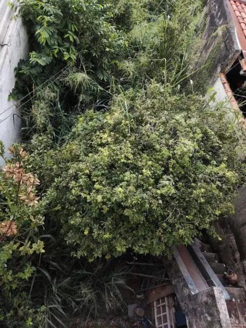 Foto 9 de Casa com 3 quartos à venda, 300m2 em Vila Clarice, São Paulo - SP