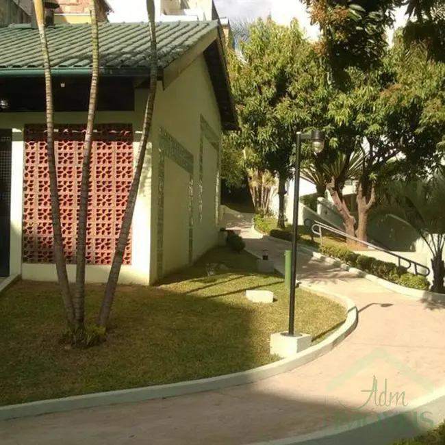 Foto 5 de Apartamento com 3 quartos para alugar, 67m2 em Vila Palmeiras, São Paulo - SP